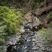small1200887