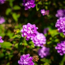 small1200983